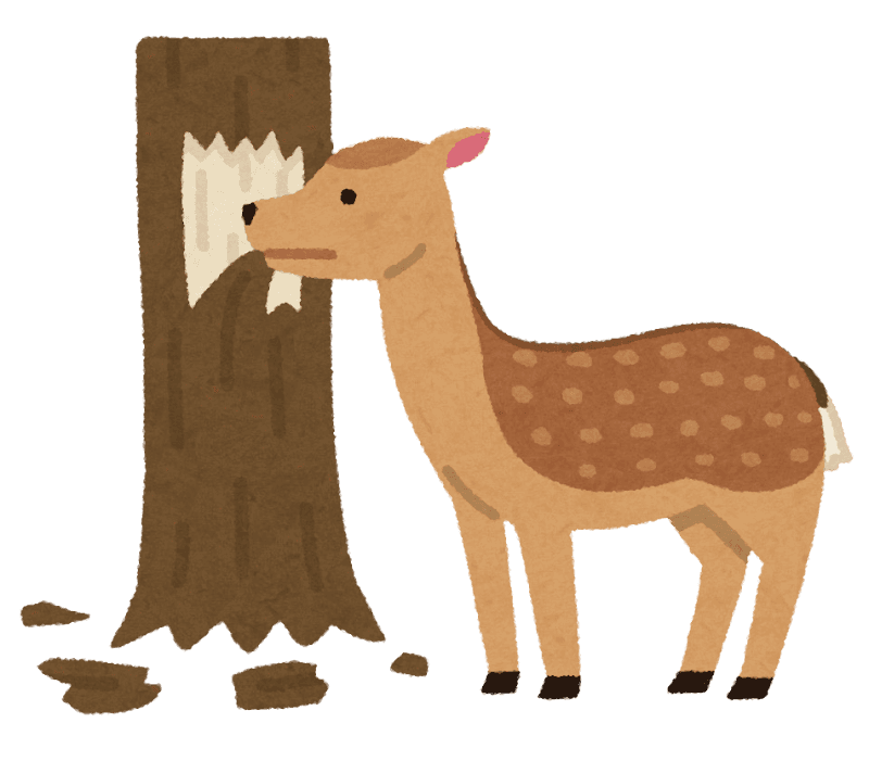 はがれる・はがす