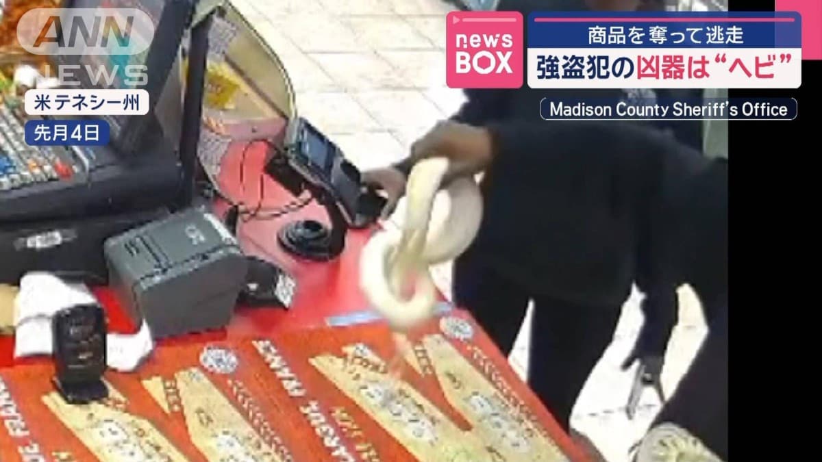 強盗犯の凶器は“ヘビ”　商品を奪って逃走　米・テネシー州