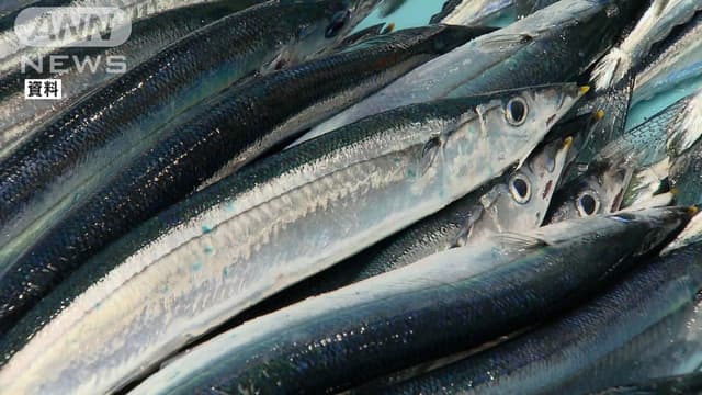 <p>サンマの<ruby><rb><span class="unknown" word="漁獲">漁獲</span></rb><rt>ぎょかく</rt></ruby><ruby><rb><span class="jlpt-n1" word="枠">枠</span></rb><rt>わく</rt></ruby>を10％<ruby><rb><span class="jlpt-n1" word="削減">削減</span></rb><rt>さくげん</rt></ruby>　<ruby><rb><span class="jlpt-n4" word="国際">国際</span></rb><rt>こくさい</rt></ruby><ruby><rb><span class="jlpt-n4" word="会議">会議</span></rb><rt>かいぎ</rt></ruby>で<ruby><rb><span class="jlpt-n1" word="合意">合意</span></rb><rt>ごうい</rt></ruby></p>