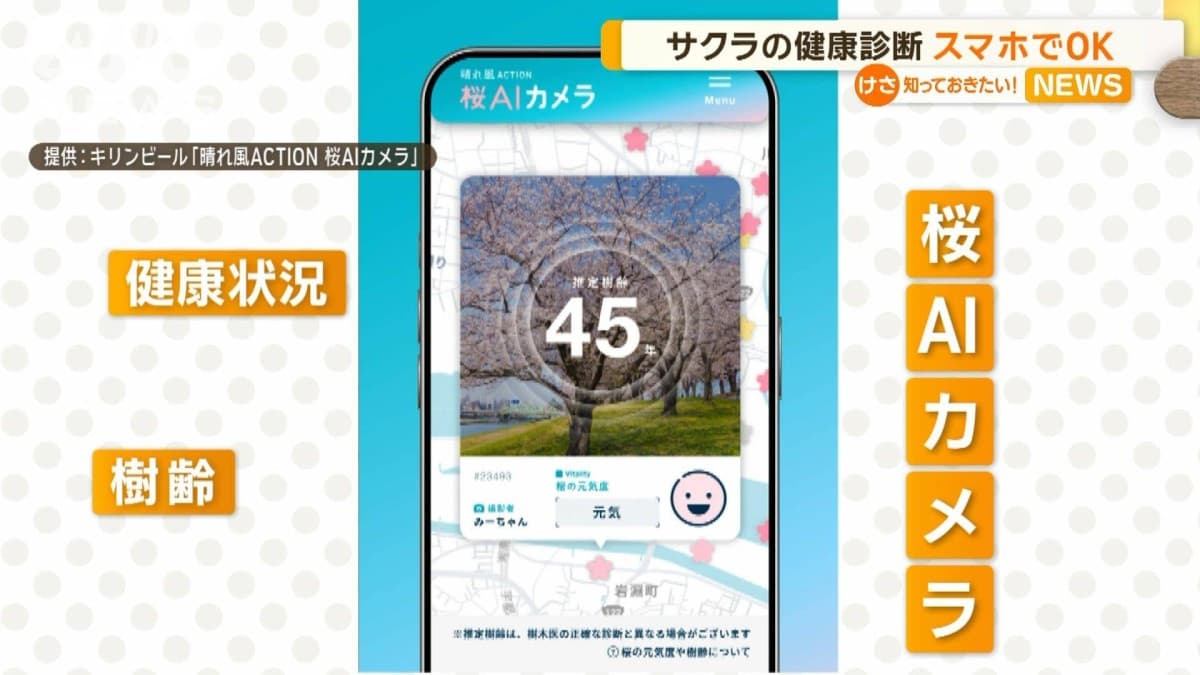 サクラの健康診断　スマホでOK　キリンビール