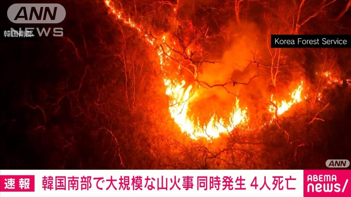 韓国南部などで大規模な山火事が同時発生　これまでに4人が死亡