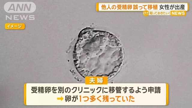 オーストラリアで<ruby ><rb><span class="jlpt-n3" word="他">他</span></rb><rt>ほか</rt></ruby>の<ruby ><rb><span class="jlpt-n5" word="人">人</span></rb><rt>ひと</rt></ruby>の<ruby ><rb><span class="unknown" word="受精卵">受精卵</span></rb><rt>じゅせいらん</rt></ruby>を<ruby ><rb>間違</rb><rt>まちが</rt></ruby>えて<ruby ><rb><span class="unknown" word="移植">移植</span></rb><rt>いしょく</rt></ruby>