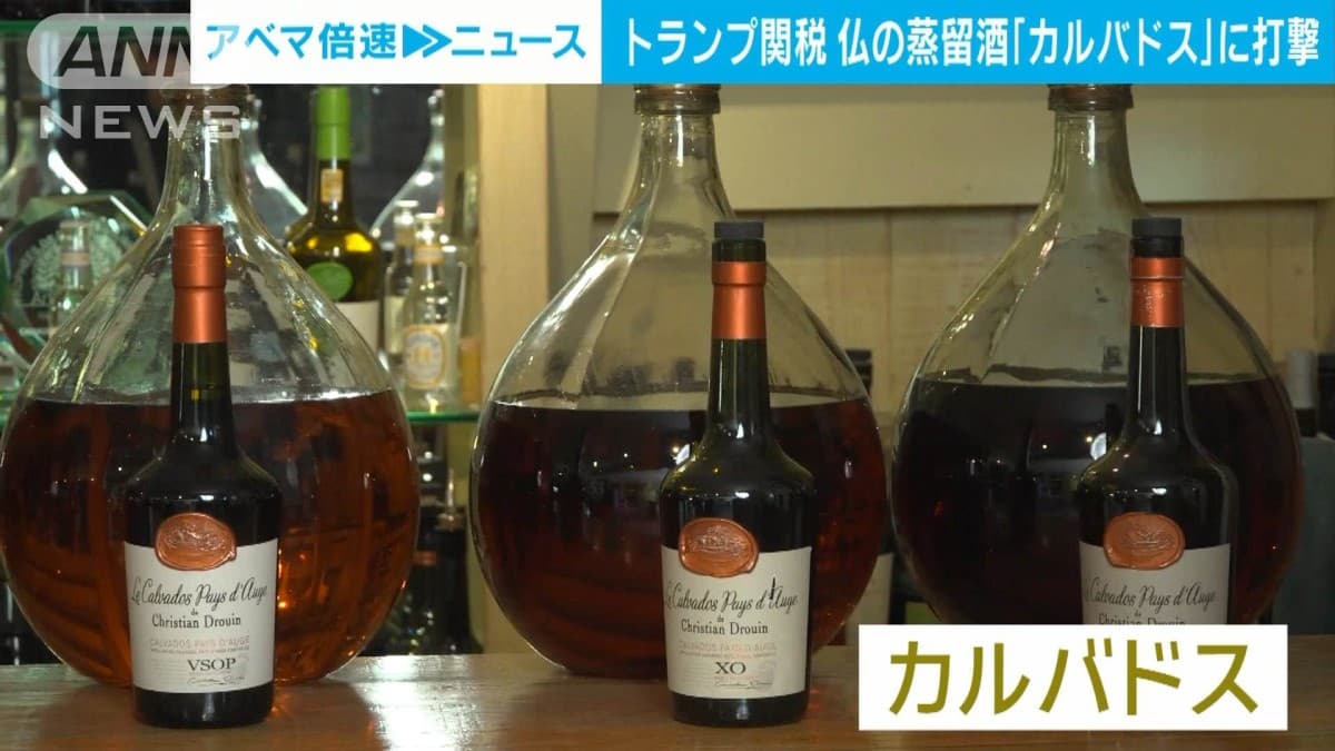 トランプ関税でフランスのカルバドス生産者が困っています