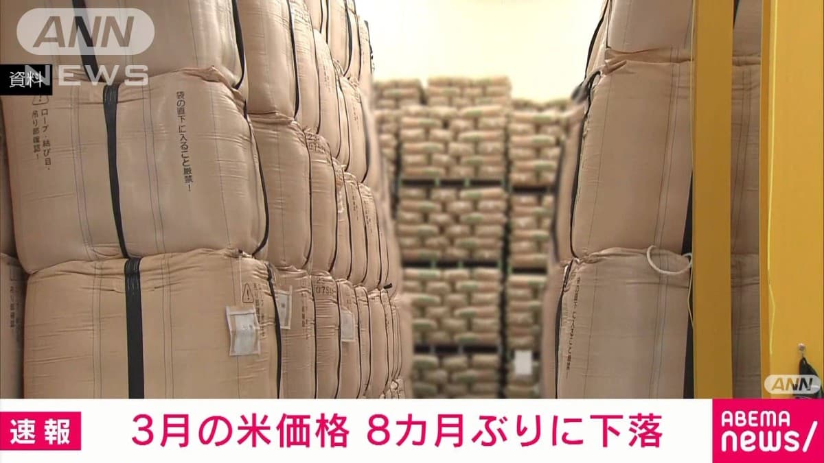 備蓄米でコメの値段が下がる