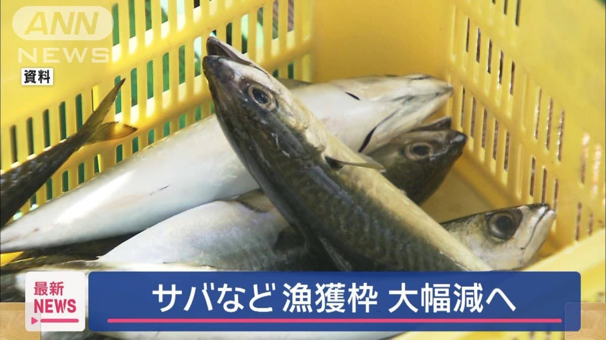 サバのとれる量が少なくなります