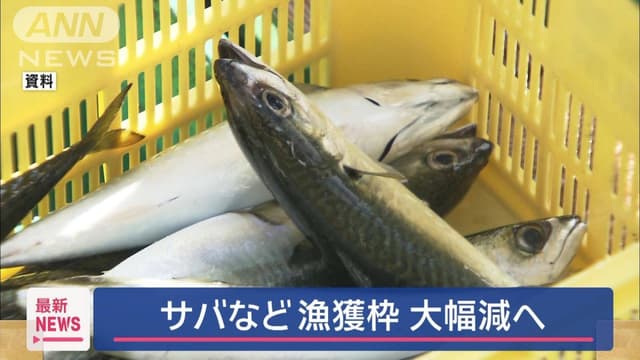 サバのとれる<ruby ><rb><span class="jlpt-n3" word="量">量</span></rb><rt>りょう</rt></ruby>が<ruby ><rb>少</rb><rt>すく</rt></ruby>なくなります