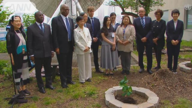 <ruby ><rb><span class="unknown" word="広島">広島</span></rb><rt>ひろしま</rt></ruby>の<ruby ><rb><span class="jlpt-n5" word="木">木</span></rb><rt>き</rt></ruby>を<ruby ><rb><span class="jlpt-n1" word="国連">国連</span></rb><rt>こくれん</rt></ruby>でうえる　<ruby ><rb><span class="jlpt-n3" word="平和">平和</span></rb><rt>へいわ</rt></ruby>をいのる<ruby ><rb><span class="jlpt-n3" word="式">式</span></rb><rt>しき</rt></ruby>