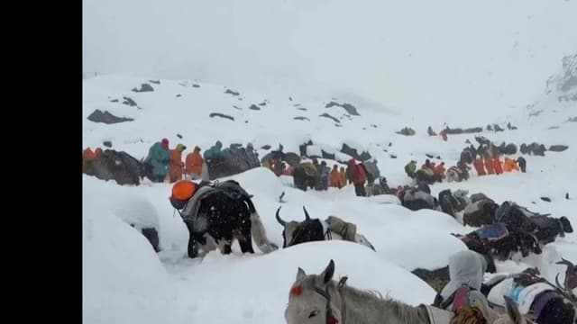 エベレストで<ruby ><rb><span class="unknown" word="大雪">大雪</span></rb><rt>おおゆき</rt></ruby>、<ruby ><rb><span class="jlpt-n3" word="登山">登山</span><span class="jlpt-n3" word="者">者</span></rb><rt>とざんしゃ</rt></ruby>たちが<ruby ><rb><span class="jlpt-n3" word="鍋">鍋</span></rb><rt>なべ</rt></ruby>で<ruby ><rb><span class="unknown" word="雪かき">雪</rb><rt>ゆき</rt></ruby>かき</span>して<ruby ><rb><span class="jlpt-n2" word="助かる">助</rb><rt>たす</rt></ruby>かる</span>