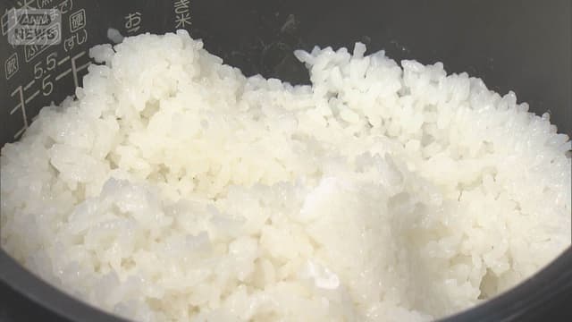 <span class="jlpt-n3" word="お">お</span><ruby ><rb><span class="jlpt-n4" word="米">米</span></rb><rt>こめ</rt></ruby><span class="" word="の">の</span><span class="" word="ね">ね</span><span class="" word="だ">だ</span><span class="" word="ん">ん</span><span class="" word="が">が</span><ruby ><rb><span class="" word="少">少</span></rb><rt>すこ</rt></ruby><span class="" word="し">し</span><ruby ><rb><span class="" word="下">下</span></rb><rt>さ</rt></ruby><span class="" word="が">が</span><span class="" word="る">る</span><span class="" word="が">が</span><span class="" word="、">、</span><span class="jlpt-n5" word="まだ">まだ</span><ruby ><rb><span class="" word="高">高</span></rb><rt>たか</rt></ruby><span class="" word="い">い</span>