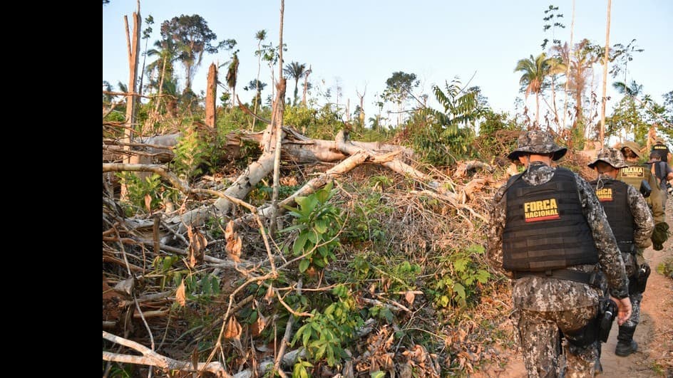 ブラジル、2030年までに森のきりすぎをなくすと言います