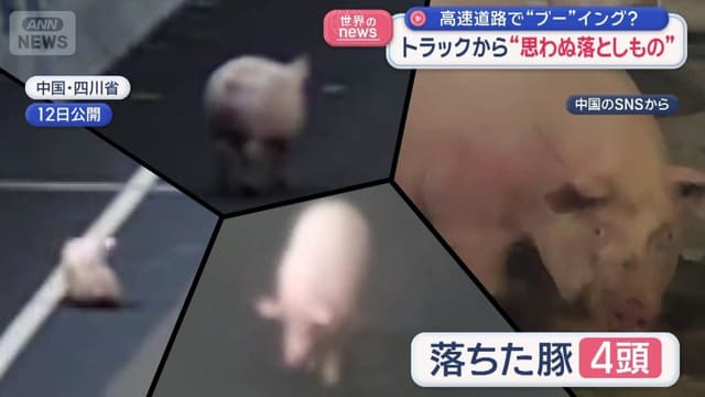 <span class="jlpt-n3" word="トラック">トラック</span><span class="" word="か">か</span><span class="" word="ら">ら</span><span class="" word="ぶ">ぶ</span><span class="" word="た">た</span><span class="" word="が">が</span><span class="" word="お">お</span><span class="" word="ち">ち</span><span class="" word="ま">ま</span><span class="" word="し">し</span><span class="" word="た">た</span>