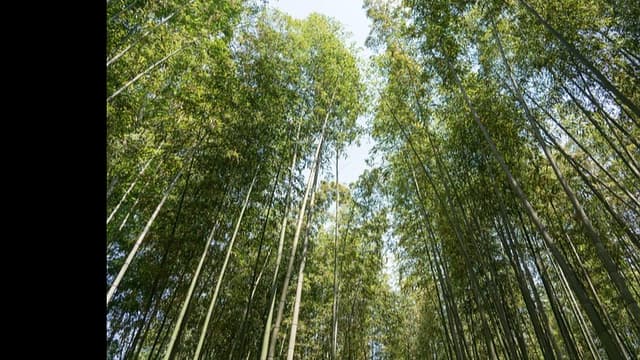 <ruby ><rb><span class="unknown" word="五郎">五郎</span><span class="unknown" word="兵衛">兵衛</span></rb><rt>ごろべえ</rt></ruby><span class="" word="と">と</span><ruby ><rb><span class="" word="大">大</span></rb><rt>おお</rt></ruby><span class="" word="き">き</span><span class="" word="な">な</span><span class="" word="へ">へ</span><span class="" word="び">び</span>