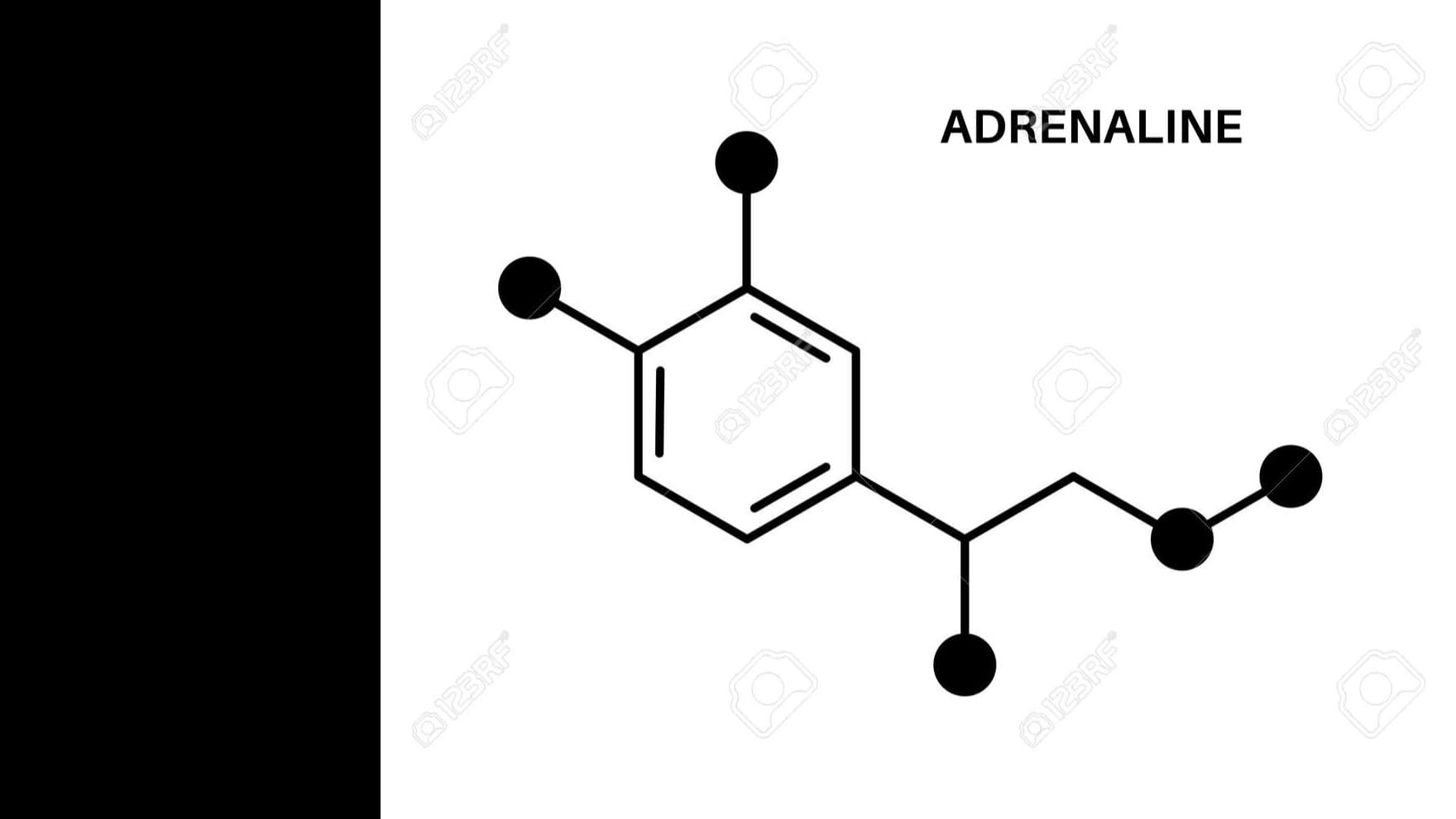 アドレナリンについて