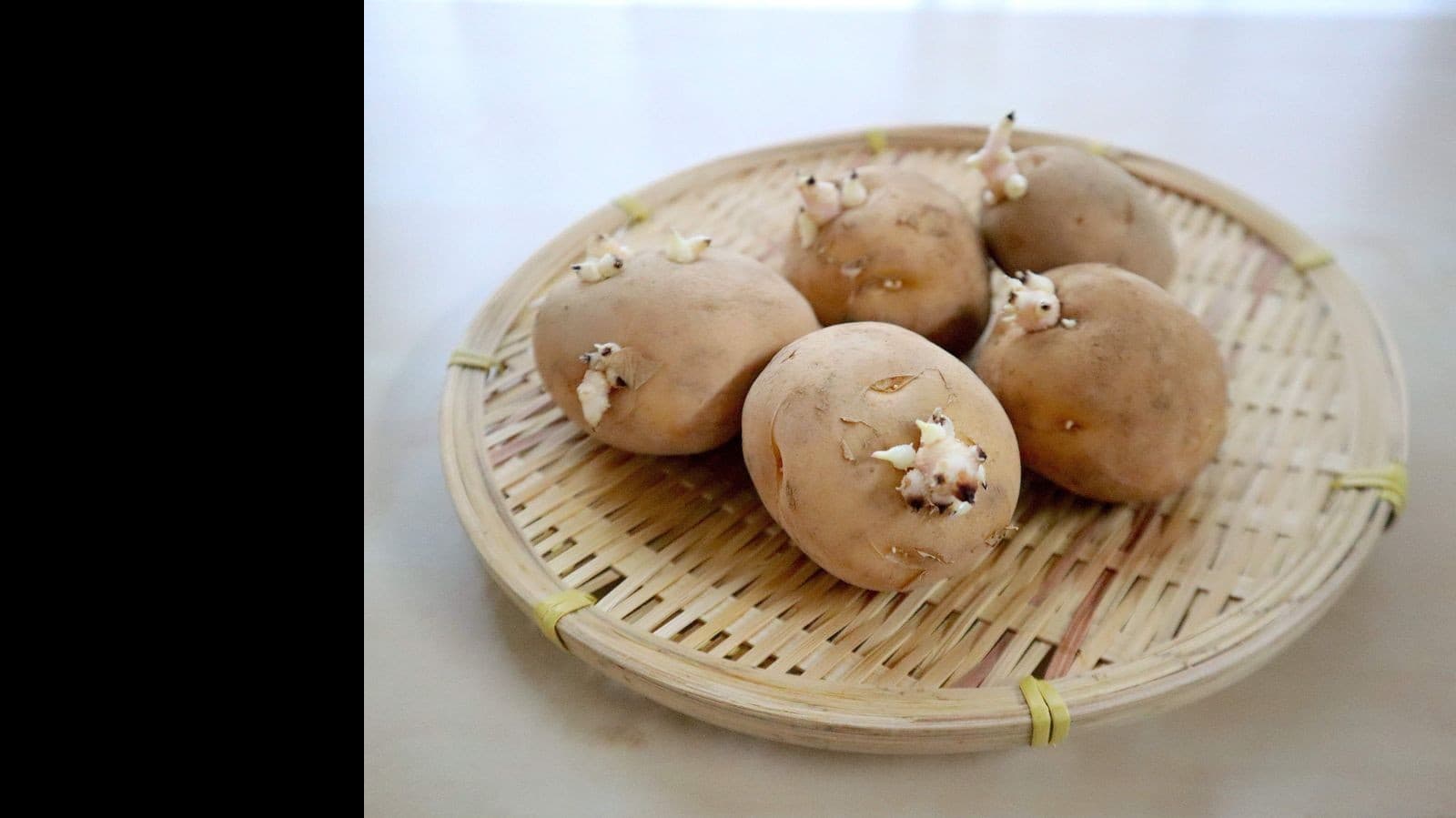 じゃがいもの芽はたべてもいいですか