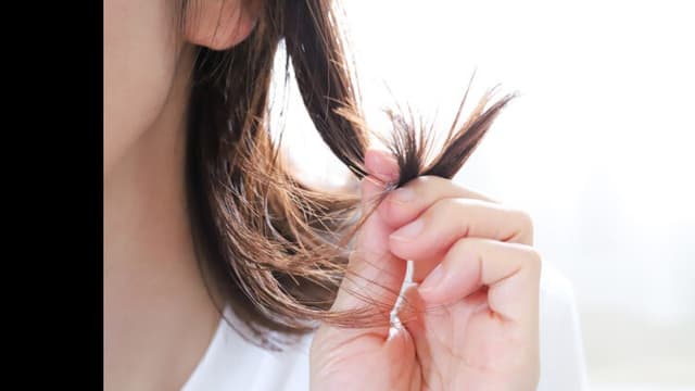 <span class="" word="か">か</span><span class="" word="み">み</span><span class="" word="を">を</span><span class="" word="つ">つ</span><span class="" word="よ">よ</span><span class="" word="く">く</span><span class="" word="す">す</span><span class="" word="る">る</span><span class="" word="ほ">ほ</span><span class="" word="う">う</span><span class="" word="ほ">ほ</span><span class="" word="う">う</span>