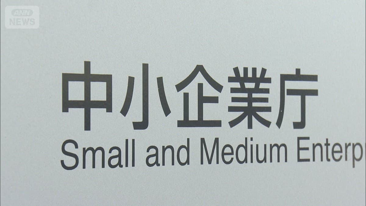 中小企業向け補助金における不正受給問題――会計検査院が約3.4億円の不適切支出を指摘