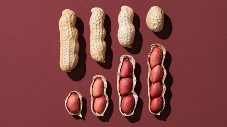 乳児期のピーナツ摂取回避指針の転換――長年の誤解を覆した科学的検証の軌跡