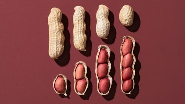 <ruby ><rb><span class="unknown" word="乳児">乳児</span><span class="jlpt-n1" word="期">期</span></rb><rt>にゅうじき</rt></ruby><span class="" word="の">の</span><span class="" word="ピ">ピ</span><span class="" word="ー">ー</span><span class="" word="ナ">ナ</span><span class="" word="ツ">ツ</span><ruby ><rb><span class="unknown" word="摂取">摂取</span></rb><rt>せっしゅ</rt></ruby><ruby ><rb><span class="unknown" word="回避">回避</span></rb><rt>かいひ</rt></ruby><ruby ><rb><span class="unknown" word="指針">指針</span></rb><rt>ししん</rt></ruby><span class="" word="の">の</span><ruby ><rb><span class="jlpt-n1" word="転換">転換</span></rb><rt>てんかん</rt></ruby><span class="" word="―">―</span><span class="" word="―">―</span><ruby ><rb><span class="unknown" word="長年">長年</span></rb><rt>ながねん</rt></ruby><span class="" word="の">の</span><ruby ><rb><span class="jlpt-n3" word="誤解">誤解</span></rb><rt>ごかい</rt></ruby><span class="" word="を">を</span><ruby ><rb><span class="" word="覆">覆</span></rb><rt>くつがえ</rt></ruby><span class="" word="し">し</span><span class="" word="た">た</span><ruby ><rb><span class="jlpt-n4" word="科学">科学</span><span class="jlpt-n1" word="的">的</span></rb><rt>かがくてき</rt></ruby><ruby ><rb><span class="unknown" word="検証">検証</span></rb><rt>けんしょう</rt></ruby><span class="" word="の">の</span><ruby ><rb><span class="unknown" word="軌跡">軌跡</span></rb><rt>きせき</rt></ruby>