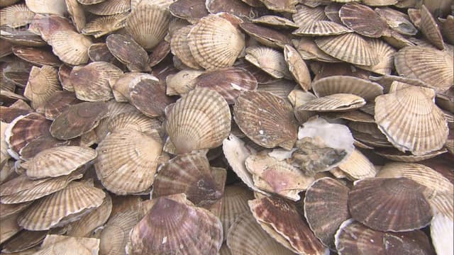 <ruby ><rb><span class="unknown" word="中国">中国</span></rb><rt>ちゅうごく</rt></ruby><span class="" word="の">の</span><ruby ><rb><span class="jlpt-n3" word="日本">日本</span><span class="unknown" word="産">産</span></rb><rt>にほんさん</rt></ruby><ruby ><rb><span class="unknown" word="水産物">水産物</span></rb><rt>すいさんぶつ</rt></ruby><ruby ><rb><span class="jlpt-n3" word="輸入">輸入</span></rb><rt>ゆにゅう</rt></ruby><ruby ><rb><span class="jlpt-n2" word="停止">停止</span></rb><rt>ていし</rt></ruby><span class="" word="、">、</span><span class="" word="1">1</span><span class="" word="7">7</span><span class="" word="2">2</span><ruby ><rb><span class="jlpt-n1" word="社">社</span></rb><rt>しゃ</rt></ruby><span class="" word="に">に</span><ruby ><rb><span class="jlpt-n3" word="影響">影響</span></rb><rt>えいきょう</rt></ruby>