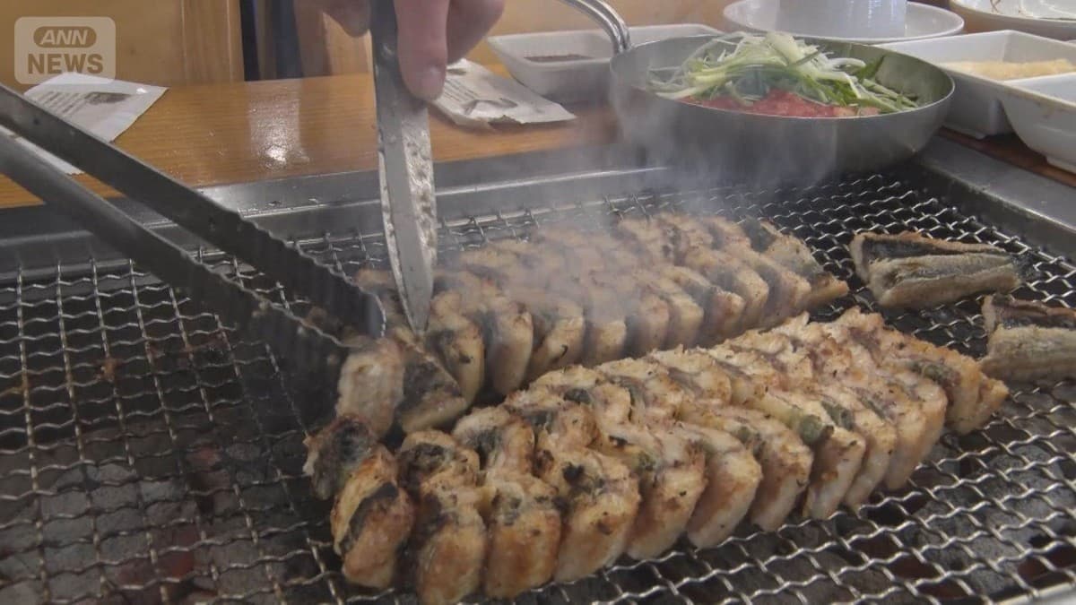 ウナギの売り方を国で話し合う　韓国でも心配の声