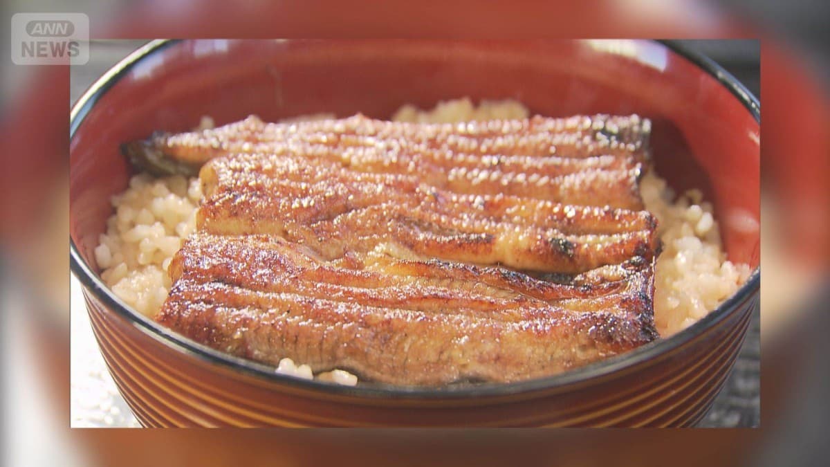 ウナギの国際取引を止める案、日本が反対して決まりませんでした