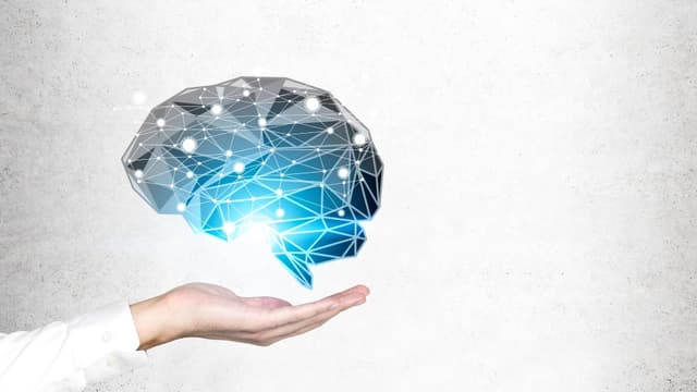 <ruby ><rb><span class="unknown" word="生涯">生涯</span></rb><rt>しょうがい</rt></ruby><span class="" word="に">に</span><span class="" word="お">お</span><span class="" word="け">け</span><span class="" word="る">る</span><ruby ><rb><span class="unknown" word="脳神経">脳神経</span><span class="jlpt-n2" word="接続">接続</span></rb><rt>のうしんけいせつぞく</rt></ruby><span class="" word="の">の</span><ruby ><rb><span class="jlpt-n5" word="四">四</span><span class="unknown" word="大">大</span><span class="jlpt-n1" word="転換">転換</span><span class="jlpt-n1" word="期">期</span></rb><rt>よんだいてんかんき</rt></ruby><span class="" word="―">―</span><span class="" word="―">―</span><ruby ><rb><span class="unknown" word="英">英</span></rb><rt>えい</rt></ruby><ruby ><rb><span class="jlpt-n4" word="研究">研究</span></rb><rt>けんきゅう</rt></ruby><span class="" word="が">が</span><ruby ><rb><span class="" word="示">示</span></rb><rt>しめ</rt></ruby><span class="" word="す">す</span><ruby ><rb><span class="jlpt-n3" word="発達">発達</span></rb><rt>はったつ</rt></ruby><span class="" word="と">と</span><ruby ><rb><span class="unknown" word="老化">老化</span></rb><rt>ろうか</rt></ruby><span class="" word="の">の</span><ruby ><rb><span class="jlpt-n1" word="新">新</span><span class="unknown" word="知見">知見</span></rb><rt>しんちけん</rt></ruby>