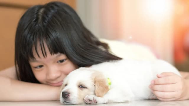 <ruby ><rb><span class="jlpt-n5" word="犬">犬</span></rb><rt>いぬ</rt></ruby><span class="" word="の">の</span><ruby ><rb><span class="jlpt-n5" word="口">口</span></rb><rt>くち</rt></ruby><span class="" word="の">の</span><ruby ><rb><span class="jlpt-n1" word="細菌">細菌</span></rb><rt>さいきん</rt></ruby><span class="" word="が">が</span><ruby ><rb><span class="jlpt-n5" word="人">人</span></rb><rt>ひと</rt></ruby><span class="" word="の">の</span><ruby ><rb><span class="" word="気">気</span><span class="" word="持">持</span></rb><rt>きも</rt></ruby><span class="" word="ち">ち</span><span class="" word="を">を</span><span class="" word="よ">よ</span><span class="" word="く">く</span><span class="" word="す">す</span><span class="" word="る">る</span><span class="" word="こ">こ</span><span class="" word="と">と</span><span class="" word="が">が</span><span class="" word="わ">わ</span><span class="" word="か">か</span><span class="" word="っ">っ</span><span class="" word="た">た</span>