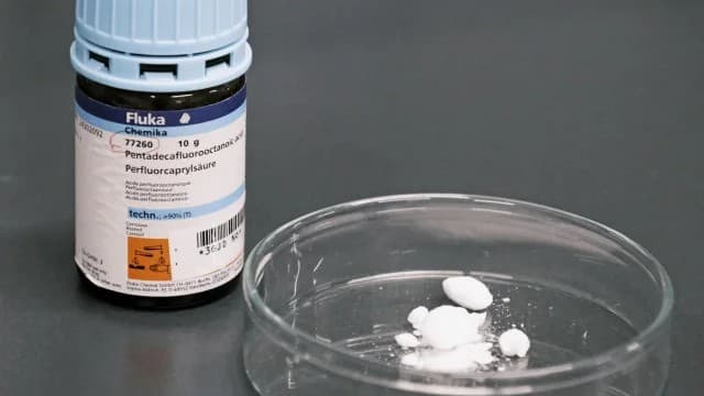 <span class="" word="P">P</span><span class="" word="F">F</span><span class="" word="A">A</span><span class="" word="S">S</span><span class="" word="で">で</span><ruby ><rb><span class="jlpt-n5" word="水">水</span></rb><rt>みず</rt></ruby><span class="" word="が">が</span><ruby ><rb><span class="" word="汚">汚</span></rb><rt>よご</rt></ruby><span class="" word="れ">れ</span><span class="" word="た">た</span><span class="jlpt-n4" word="アメリカ">アメリカ</span><span class="" word="の">の</span><ruby ><rb><span class="jlpt-n5" word="町">町</span></rb><rt>まち</rt></ruby><span class="" word="、">、</span><ruby ><rb><span class="" word="赤">赤</span></rb><rt>あか</rt></ruby><span class="" word="ち">ち</span><span class="" word="ゃ">ゃ</span><span class="" word="ん">ん</span><span class="" word="の">の</span><ruby ><rb><span class="jlpt-n3" word="死亡">死亡</span><span class="jlpt-n3" word="率">率</span></rb><rt>しぼうりつ</rt></ruby><span class="" word="が">が</span><ruby ><rb><span class="" word="高">高</span></rb><rt>たか</rt></ruby><span class="" word="く">く</span><span class="jlpt-n5" word="なる">なる</span>