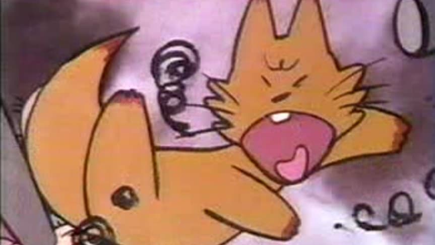 ばったり沢のきつね