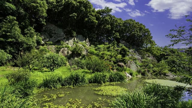 <ruby ><rb><span class="unknown" word="愛媛">愛媛</span><span class="jlpt-n3" word="県">県</span></rb><rt>えひめけん</rt></ruby><span class="" word="・">・</span><ruby ><rb><span class="jlpt-n4" word="湯">湯</span><span class="unknown" word="築城">築城</span></rb><rt>ゆづきじょう</rt></ruby>