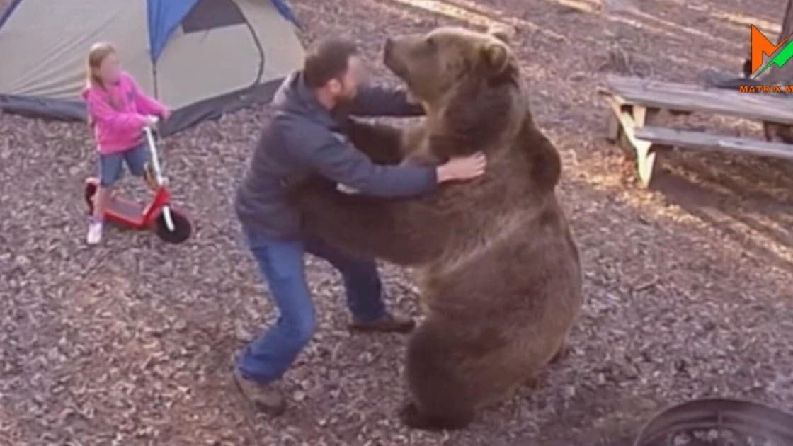 お父さん、クマからむすめをまもる