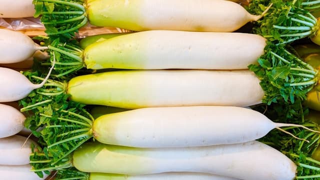 <ruby ><rb><span class="jlpt-n3" word="日本">日本</span></rb><rt>にほん</rt></ruby><span class="" word="で">で</span><span class="jlpt-n5" word="おいしい">おいしい</span><ruby ><rb><span class="unknown" word="大根">大根</span></rb><rt>だいこん</rt></ruby><span class="" word="を">を</span><ruby ><rb><span class="" word="選">選</span></rb><rt>えら</rt></ruby><span class="" word="ぶ">ぶ</span><span class="jlpt-n1" word="ポイント">ポイント</span>