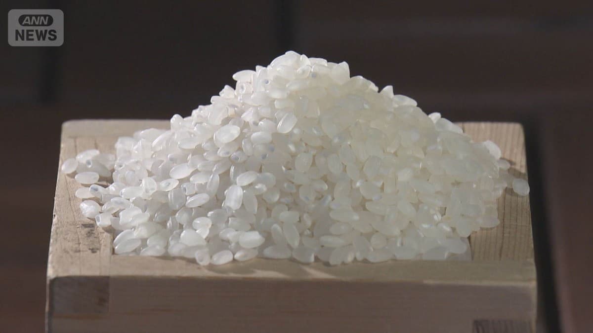 たくさんのお米が外国から入ってきました