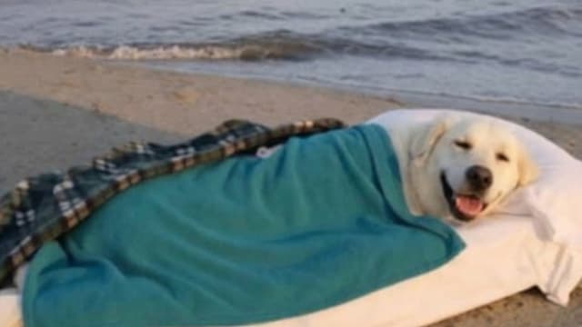 <span class="" word="バ">バ</span><span class="" word="デ">デ</span><span class="" word="ィ">ィ</span><span class="" word="と">と</span><span class="" word="サ">サ</span><span class="" word="ム">ム</span><span class="" word="の">の</span><ruby ><rb><span class="" word="最">最</span></rb><rt>さい</rt></ruby><ruby ><rb><span class="" word="後">後</span></rb><rt>ご</rt></ruby><span class="" word="の">の</span><ruby ><rb><span class="jlpt-n4" word="日">日</span></rb><rt>ひ</rt></ruby>