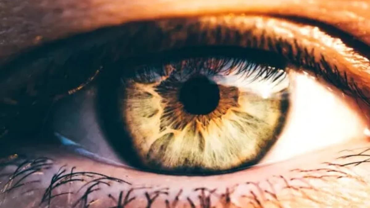 人の目の解像度は色によって違う