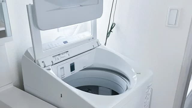 洗濯機にカビができる3つの理由