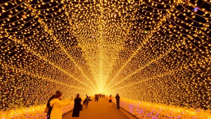 なばなの里の冬イルミネーション2025-2026