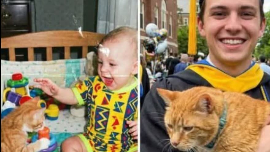 卒業式の日とPumpkin