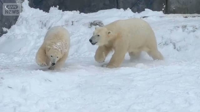 <span class="" word="は">は</span><span class="" word="じ">じ</span><span class="" word="め">め</span><span class="" word="て">て</span><span class="" word="の">の</span><span class="" word="ゆ">ゆ</span><span class="" word="き">き</span><span class="" word="で">で</span><span class="" word="あ">あ</span><span class="" word="そ">そ</span><span class="" word="ぶ">ぶ</span><span class="" word="ホ">ホ</span><span class="" word="ッ">ッ</span><span class="" word="キ">キ</span><span class="" word="ョ">ョ</span><span class="" word="ク">ク</span><span class="" word="グ">グ</span><span class="" word="マ">マ</span><span class="" word="の">の</span><ruby ><rb><span class="unknown" word="子ども">子ども</span></rb><rt>こども</rt></ruby>