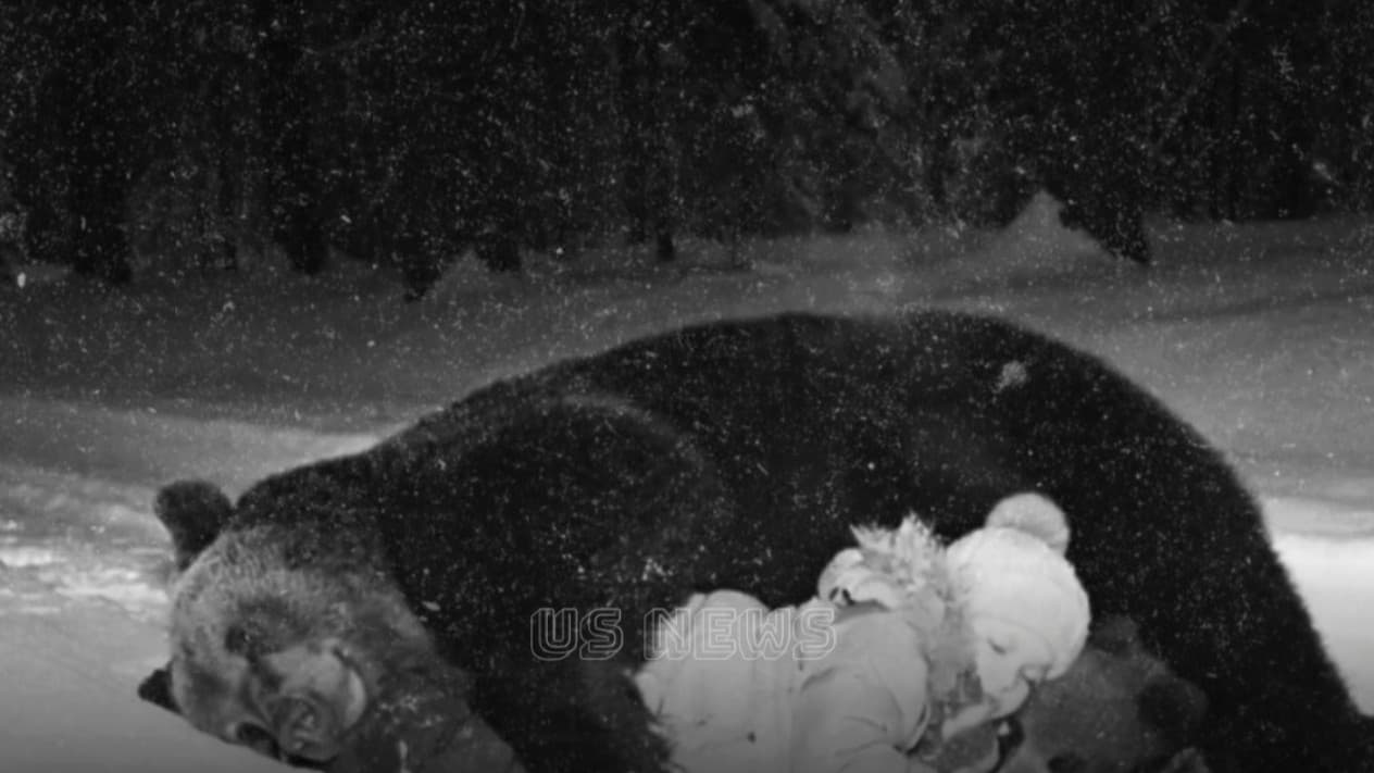 アラスカの森でグマに守られた少女