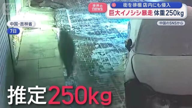 <ruby ><rb><span class="" word="大">大</span></rb><rt>おお</rt></ruby><span class="" word="き">き</span><span class="" word="い">い</span><span class="" word="イ">イ</span><span class="" word="ノ">ノ</span><span class="" word="シ">シ</span><span class="" word="シ">シ</span> <span class="" word="ま">ま</span><span class="" word="ち">ち</span><span class="" word="を">を</span><span class="" word="は">は</span><span class="" word="し">し</span><span class="" word="る">る</span>