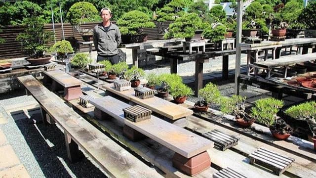 <span class="" word="4">4</span><span class="" word="0">0</span><span class="" word="0">0</span><ruby ><rb><span class="jlpt-n5" word="年">年</span></rb><rt>ねん</rt></ruby><span class="" word="の">の</span><ruby ><rb><span class="unknown" word="盆栽">盆栽</span></rb><rt>ぼんさい</rt></ruby><span class="" word="が">が</span><span class="" word="ぬ">ぬ</span><span class="" word="す">す</span><span class="" word="ま">ま</span><span class="" word="れ">れ</span><span class="" word="た">た</span><ruby ><rb><span class="jlpt-n5" word="家族">家族</span></rb><rt>かぞく</rt></ruby><span class="" word="の">の</span><span class="" word="ね">ね</span><span class="" word="が">が</span><span class="" word="い">い</span>