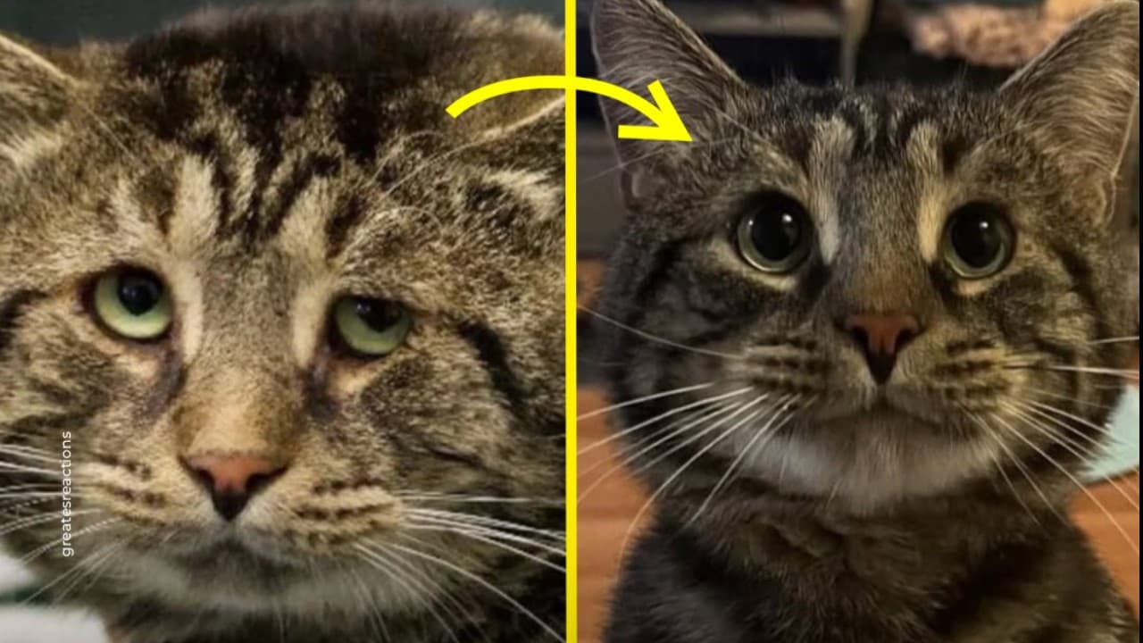 悲しみから喜びへ