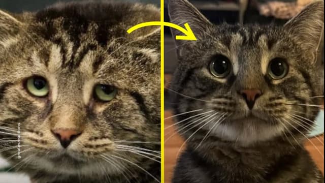 <ruby ><rb><span class="" word="悲">悲</span></rb><rt>かな</rt></ruby><span class="" word="し">し</span><span class="" word="み">み</span><span class="" word="か">か</span><span class="" word="ら">ら</span><ruby ><rb><span class="" word="喜">喜</span></rb><rt>よろこ</rt></ruby><span class="" word="び">び</span><span class="" word="へ">へ</span>