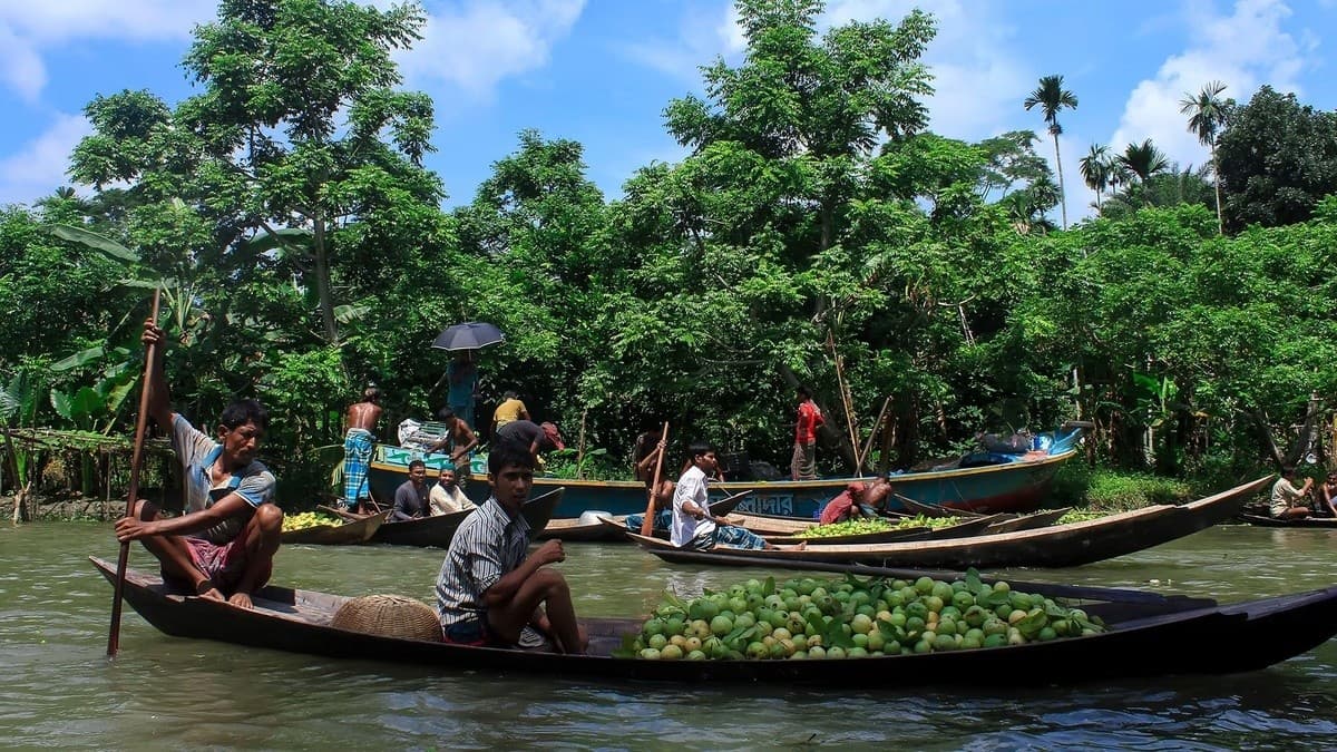 多様な魅力と観光発展の課題