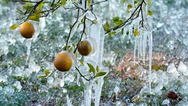 <span class="" word="フ">フ</span><span class="" word="ロ">ロ</span><span class="" word="リ">リ</span><span class="" word="ダ">ダ</span><span class="" word="は">は</span><span class="jlpt-n5" word="とても">とても</span><ruby ><rb><span class="" word="さ">さ</span><span class="" word="む">む</span></rb><rt>寒</rt></ruby><span class="" word="い">い</span><ruby ><rb><span class="jlpt-n4" word="日">日</span></rb><rt>ひ</rt></ruby><span class="" word="に">に</span><span class="" word="な">な</span><span class="" word="り">り</span><span class="" word="ま">ま</span><span class="" word="し">し</span><span class="" word="た">た</span>