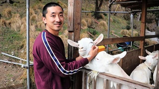 <ruby ><rb><span class="unknown" word="東京">東京</span></rb><rt>とうきょう</rt></ruby><span class="" word="の">の</span><ruby ><rb><span class="" word="小">小</span></rb><rt>ちい</rt></ruby><span class="" word="さ">さ</span><span class="" word="な">な</span><ruby ><rb><span class="jlpt-n1" word="農場">農場</span></rb><rt>のうじょう</rt></ruby><span class="" word="の">の</span><span class="" word="ヤ">ヤ</span><span class="" word="ギ">ギ</span><span class="jlpt-n3" word="チーズ">チーズ</span><span class="" word="、">、</span><ruby ><rb><span class="jlpt-n4" word="世界">世界</span></rb><rt>せかい</rt></ruby><span class="" word="で">で</span><ruby ><rb><span class="" word="高">高</span></rb><rt>たか</rt></ruby><span class="" word="い">い</span><ruby ><rb><span class="jlpt-n3" word="評価">評価</span></rb><rt>ひょうか</rt></ruby>