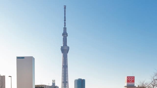 <ruby ><rb><span class="unknown" word="東京">東京</span></rb><rt>とうきょう</rt></ruby><span class="" word="ス">ス</span><span class="" word="カ">カ</span><span class="" word="イ">イ</span><span class="" word="ツ">ツ</span><span class="" word="リ">リ</span><span class="" word="ー">ー</span><span class="" word="!">!</span><span class="" word="　">　</span><ruby ><rb><span class="" word="行">行</span></rb><rt>い</rt></ruby><span class="" word="っ">っ</span><span class="" word="た">た</span><span class="" word="こ">こ</span><span class="" word="と">と</span><span class="" word="が">が</span><span class="jlpt-n5" word="ある">ある</span><span class="" word="？">？</span>