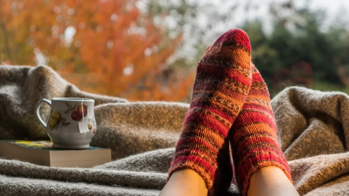 靴下着用による体温維持の科学的根拠