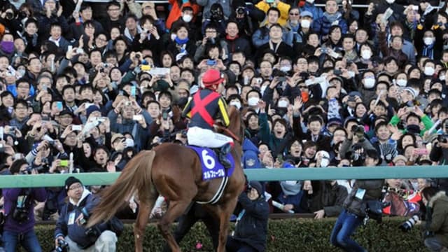 <ruby ><rb><span class="jlpt-n2" word="競馬">競馬</span></rb><rt>けいば</rt></ruby>